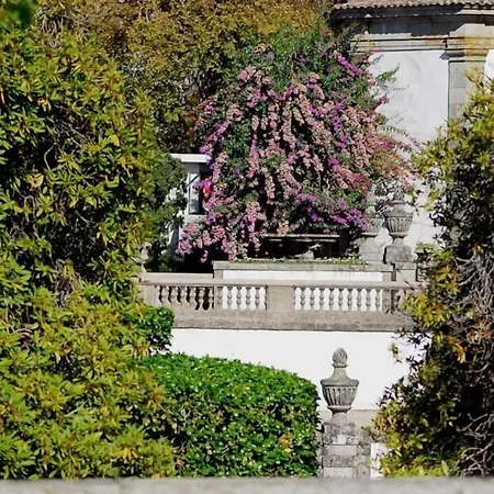 Templo & Hotel